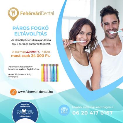 Páros Fogkő Eltávolítás Akció Páros Fogkő Eltávolítás Akció
